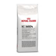 Royal Canin SC365D экономичный сухой корм для кошек (на развес)